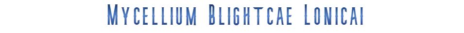 font 2.webp