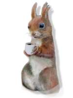 post lining.webp