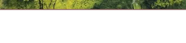 Banner Bottom.webp