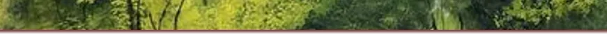 Banner Bottom.webp