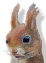 head.webp