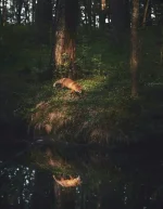 1000066168.webp