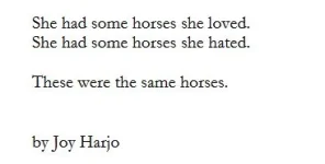 shehadsomehorses.webp