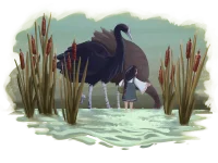 duck hunting.webp duck hunting.webp