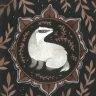 Skuggflamma
