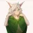 Illia